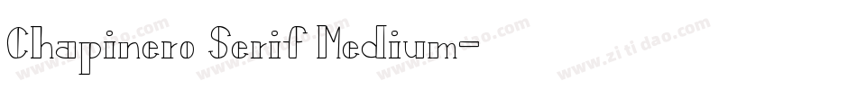 Chapinero Serif Medium字体转换